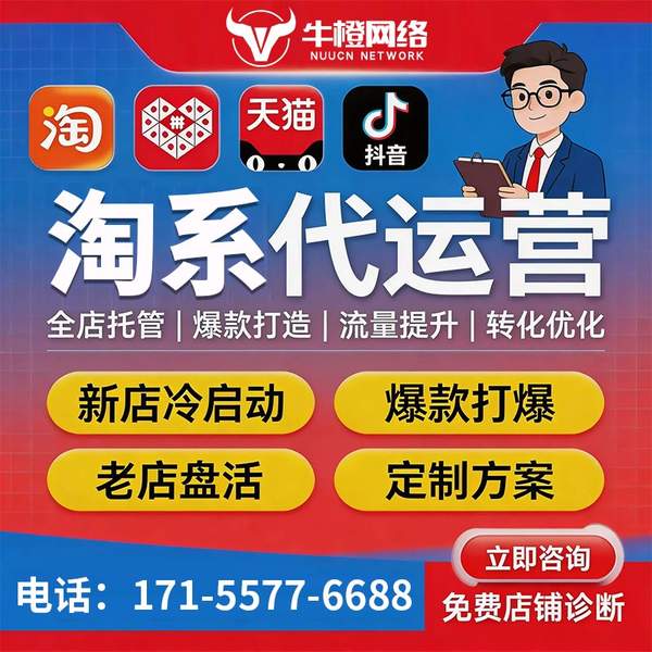 龙岩电商代运营