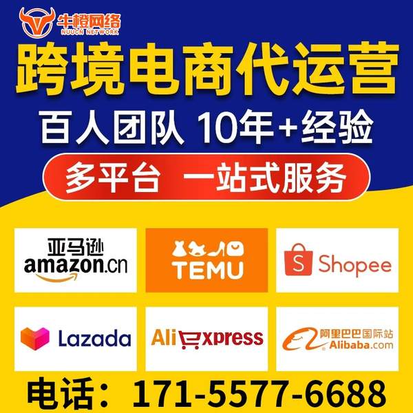 龙岩电商代运营