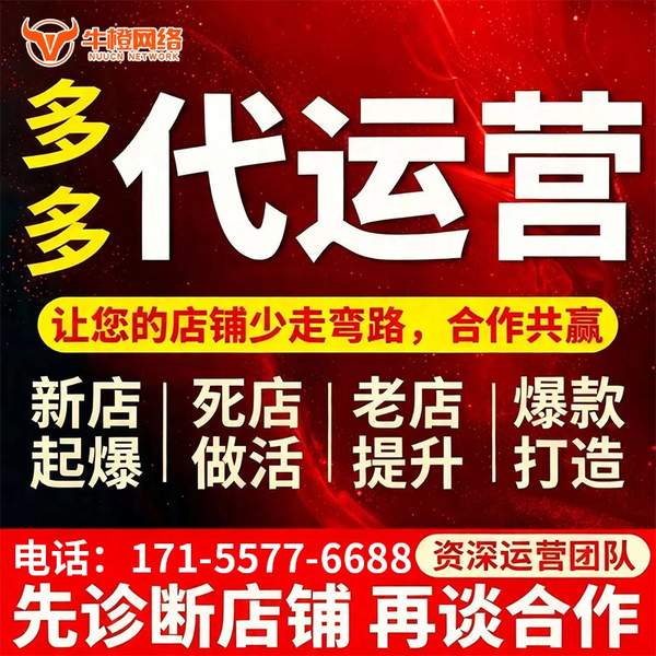 龙岩电商代运营