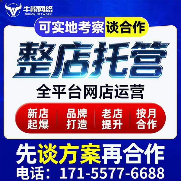 龙岩电商代运营