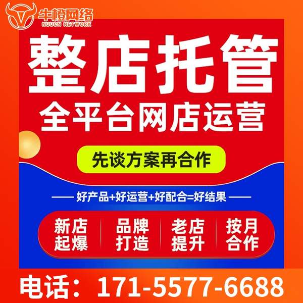 龙岩电商代运营