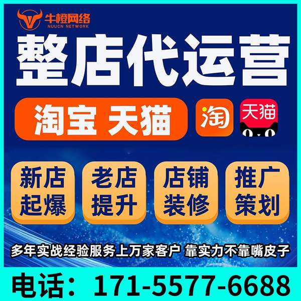 龙岩电商代运营