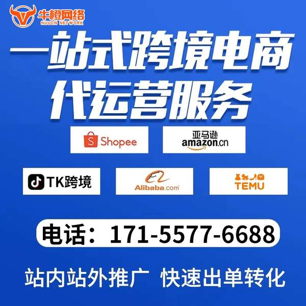 龙岩电商代运营