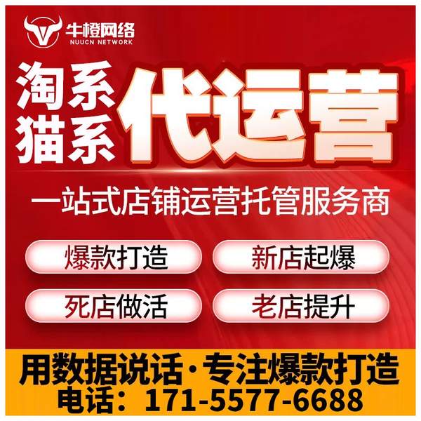 龙岩电商代运营